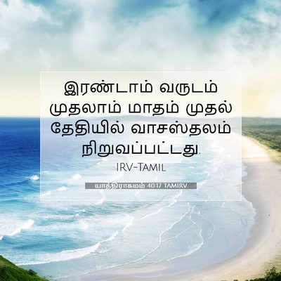 Picture 07 - யாத்திராகமம் 40:17 TAMIRV - இரண்டாம் வருடம் - Bible Verse Picture