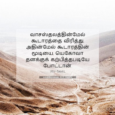 Picture 07 - யாத்திராகமம் 40:19 TAMIRV -  - Bible Verse Picture
