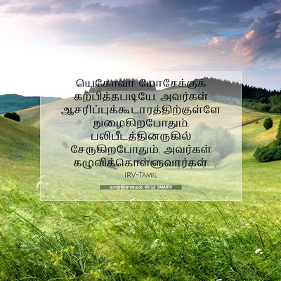 Picture 07 - யாத்திராகமம் 40:32 TAMIRV - யெகோவா மோசேக்குக் - Bible Verse Picture