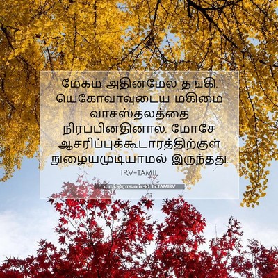 Picture 07 - யாத்திராகமம் 40:35 TAMIRV - மேகம் அதின்மேல் - Bible Verse Picture