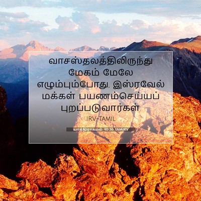 Picture 07 - யாத்திராகமம் 40:36 TAMIRV -  - Bible Verse Picture
