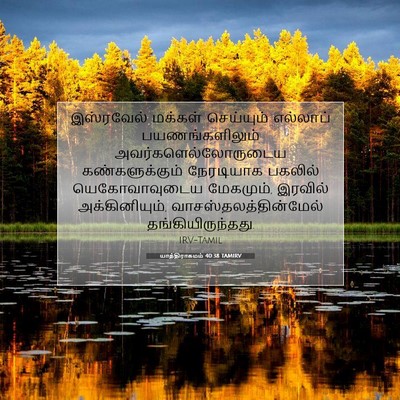Picture 07 - யாத்திராகமம் 40:38 TAMIRV - இஸ்ரவேல் மக்கள் - Bible Verse Picture