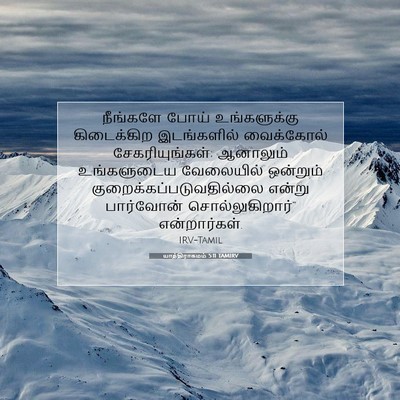 Picture 07 - யாத்திராகமம் 5:11 TAMIRV - நீங்களே போய் - Bible Verse Picture