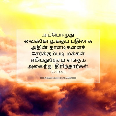 Picture 07 - யாத்திராகமம் 5:12 TAMIRV - அப்பொழுது - Bible Verse Picture