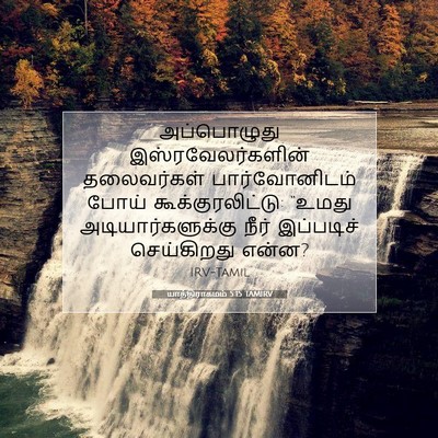 Picture 07 - யாத்திராகமம் 5:15 TAMIRV - அப்பொழுது - Bible Verse Picture