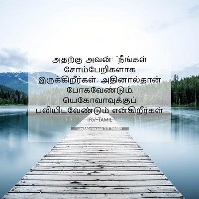 Picture 07 - யாத்திராகமம் 5:17 TAMIRV - அதற்கு அவன்: - Bible Verse Picture