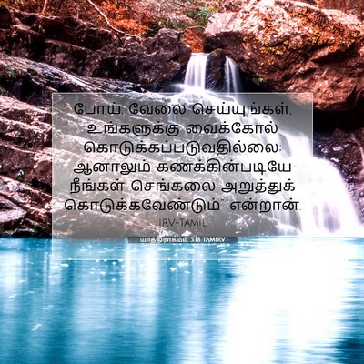 Picture 07 - யாத்திராகமம் 5:18 TAMIRV - போய், வேலை - Bible Verse Picture