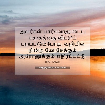Picture 07 - யாத்திராகமம் 5:20 TAMIRV - அவர்கள் - Bible Verse Picture