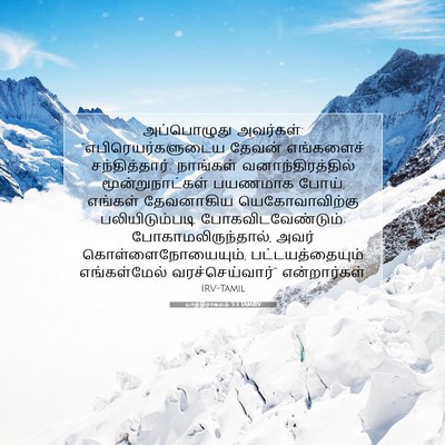 Picture 07 - யாத்திராகமம் 5:3 TAMIRV - அப்பொழுது - Bible Verse Picture