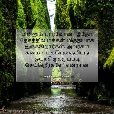 Picture 07 - யாத்திராகமம் 5:5 TAMIRV - பின்னும் - Bible Verse Picture