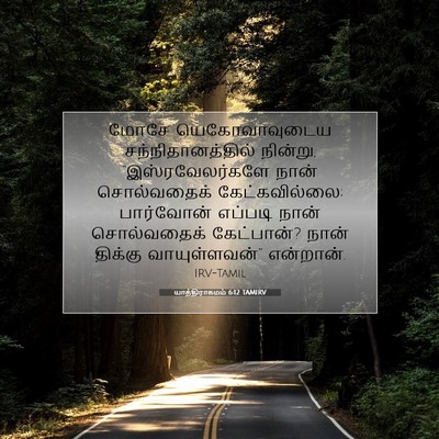 Picture 07 - யாத்திராகமம் 6:12 TAMIRV - மோசே யெகோவாவுடைய - Bible Verse Picture