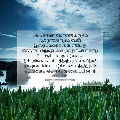Picture 07 - யாத்திராகமம் 6:13 TAMIRV - யெகோவா மோசேயோடும் - Bible Verse Picture