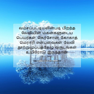 Picture 07 - யாத்திராகமம் 6:16 TAMIRV -  - Bible Verse Picture