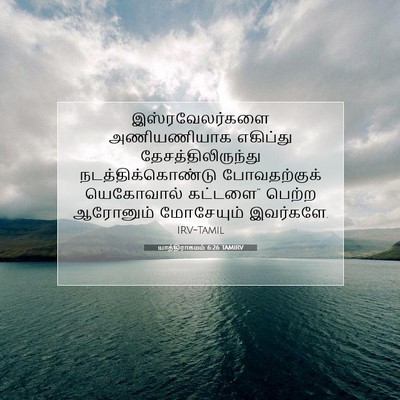 Picture 07 - யாத்திராகமம் 6:26 TAMIRV - இஸ்ரவேலர்களை - Bible Verse Picture