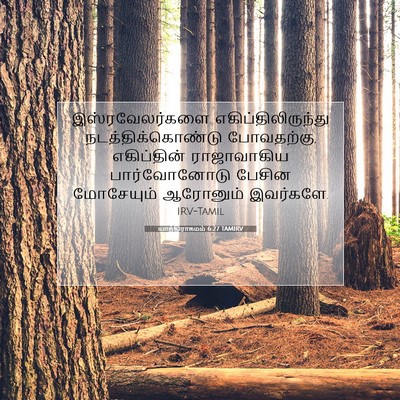 Picture 07 - யாத்திராகமம் 6:27 TAMIRV - இஸ்ரவேலர்களை - Bible Verse Picture