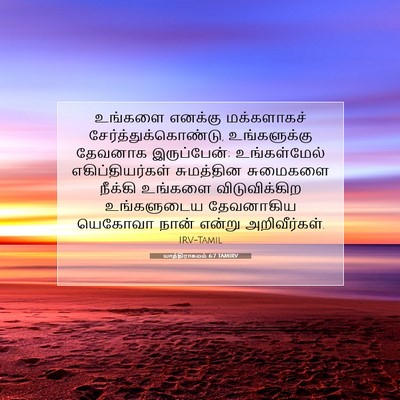 Picture 07 - யாத்திராகமம் 6:7 TAMIRV - உங்களை எனக்கு - Bible Verse Picture