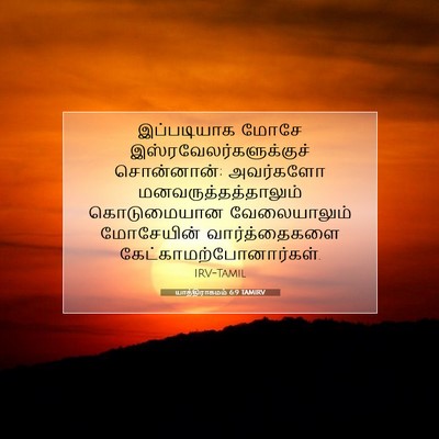 Picture 07 - யாத்திராகமம் 6:9 TAMIRV - இப்படியாக மோசே - Bible Verse Picture