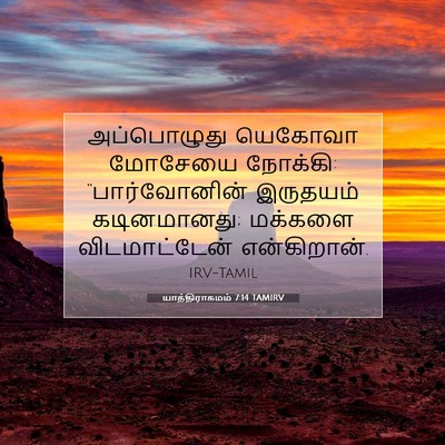 Picture 07 - யாத்திராகமம் 7:14 TAMIRV - அப்பொழுது யெகோவா - Bible Verse Picture