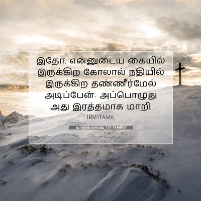 Picture 07 - யாத்திராகமம் 7:17 TAMIRV - இதோ, என்னுடைய - Bible Verse Picture