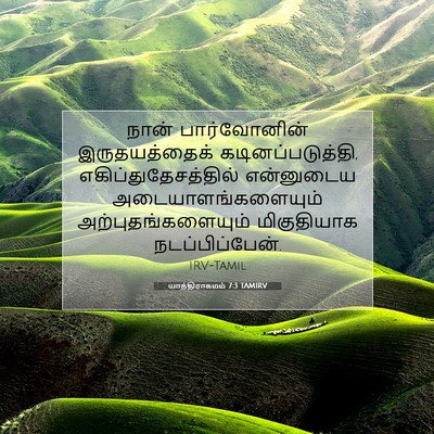 Picture 07 - யாத்திராகமம் 7:3 TAMIRV - நான் பார்வோனின் - Bible Verse Picture