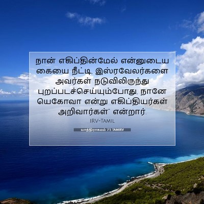 Picture 07 - யாத்திராகமம் 7:5 TAMIRV - நான் - Bible Verse Picture