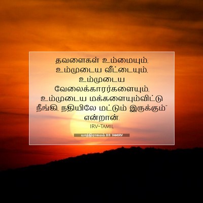 Picture 07 - யாத்திராகமம் 8:11 TAMIRV - தவளைகள் - Bible Verse Picture