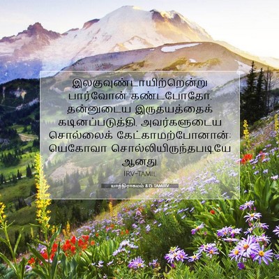 Picture 07 - யாத்திராகமம் 8:15 TAMIRV -  - Bible Verse Picture