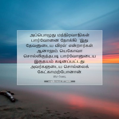 Picture 07 - யாத்திராகமம் 8:19 TAMIRV - அப்பொழுது - Bible Verse Picture