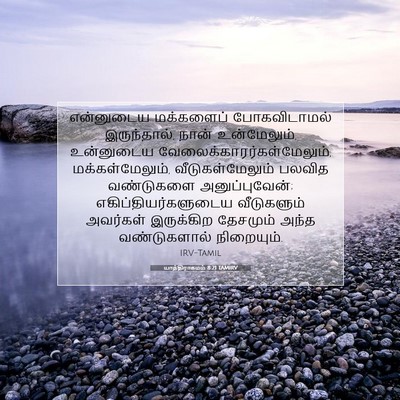 Picture 07 - யாத்திராகமம் 8:21 TAMIRV - என்னுடைய மக்களைப் - Bible Verse Picture