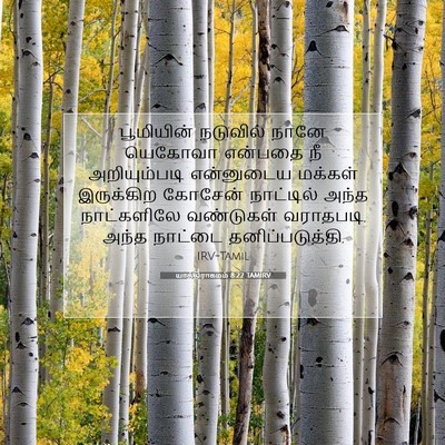 Picture 07 - யாத்திராகமம் 8:22 TAMIRV - பூமியின் நடுவில் - Bible Verse Picture