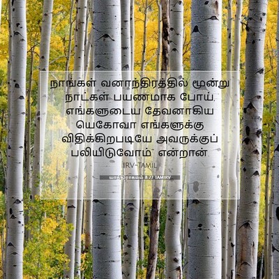 Picture 07 - யாத்திராகமம் 8:27 TAMIRV - நாங்கள் - Bible Verse Picture