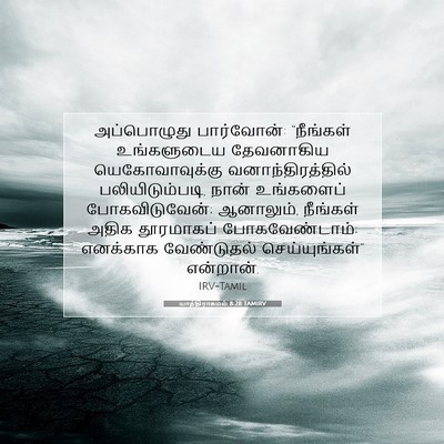 Picture 07 - யாத்திராகமம் 8:28 TAMIRV - அப்பொழுது - Bible Verse Picture