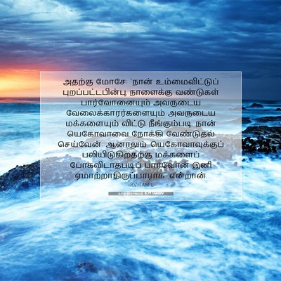 Picture 07 - யாத்திராகமம் 8:29 TAMIRV - அதற்கு மோசே: “நான் - Bible Verse Picture