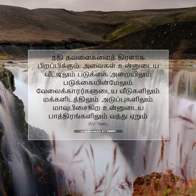 Picture 07 - யாத்திராகமம் 8:3 TAMIRV - நதி தவளைகளைத் - Bible Verse Picture