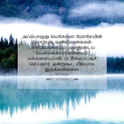 Picture 07 - யாத்திராகமம் 8:31 TAMIRV - அப்பொழுது யெகோவா - Bible Verse Picture