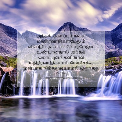 Picture 07 - யாத்திராகமம் 9:11 TAMIRV - அந்தக் - Bible Verse Picture