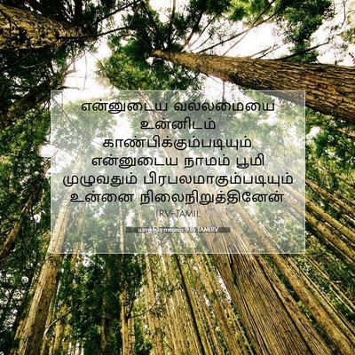 Picture 07 - யாத்திராகமம் 9:16 TAMIRV - என்னுடைய வல்லமையை - Bible Verse Picture