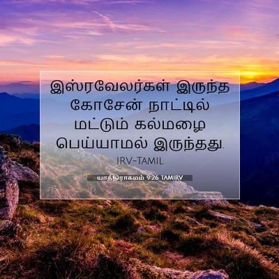 Picture 07 - யாத்திராகமம் 9:26 TAMIRV - இஸ்ரவேலர்கள் - Bible Verse Picture
