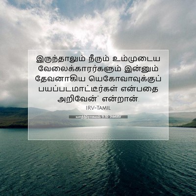 Picture 07 - யாத்திராகமம் 9:30 TAMIRV - இருந்தாலும் - Bible Verse Picture