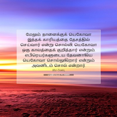 Picture 07 - யாத்திராகமம் 9:5 TAMIRV - மேலும், - Bible Verse Picture