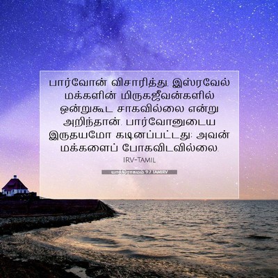 Picture 07 - யாத்திராகமம் 9:7 TAMIRV - பார்வோன் - Bible Verse Picture