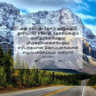 Picture 07 - யாத்திராகமம் 9:9 TAMIRV - அது எகிப்து தேசம் - Bible Verse Picture