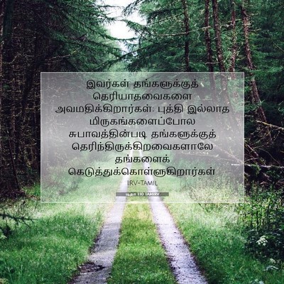Picture 07 - யூதா 1:10 TAMIRV - இவர்கள் - Bible Verse Picture