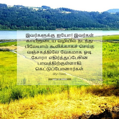 Picture 07 - யூதா 1:11 TAMIRV - இவர்களுக்கு ஐயோ! - Bible Verse Picture