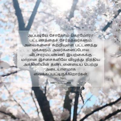 Picture 07 - யூதா 1:7 TAMIRV - அப்படியே சோதோம் - Bible Verse Picture