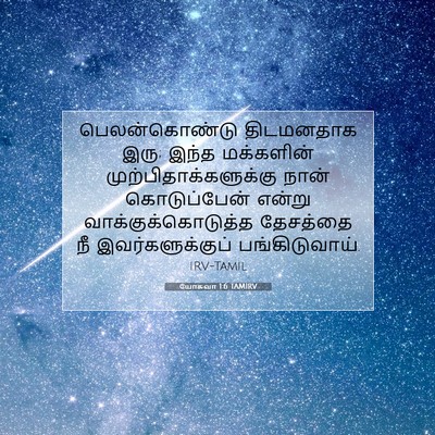 Picture 07 - யோசுவா 1:6 TAMIRV - பெலன்கொண்டு - Bible Verse Picture