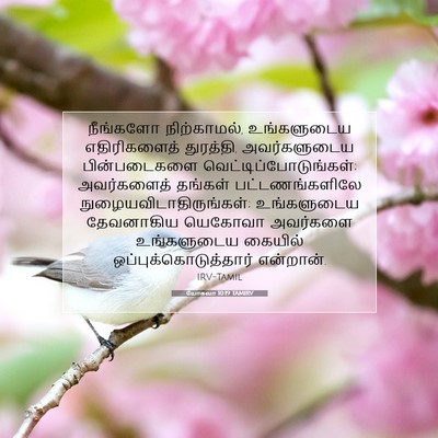 Picture 07 - யோசுவா 10:19 TAMIRV - நீங்களோ - Bible Verse Picture