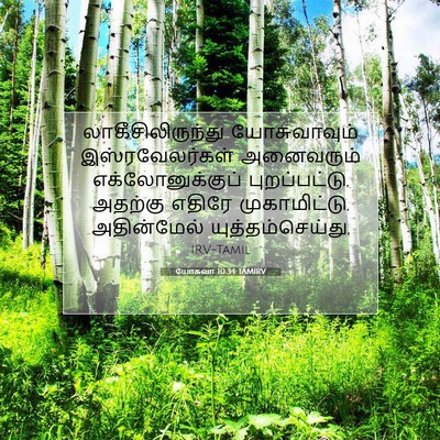 Picture 07 - யோசுவா 10:34 TAMIRV - லாகீசிலிருந்து - Bible Verse Picture