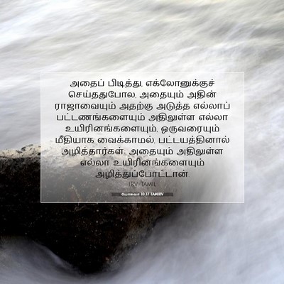 Picture 07 - யோசுவா 10:37 TAMIRV - அதைப் பிடித்து, - Bible Verse Picture