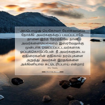 Picture 07 - யோசுவா 11:6 TAMIRV - அப்பொழுது யெகோவா - Bible Verse Picture